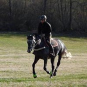 Tamara Dietrich's photo