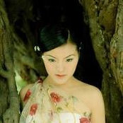 Cathy Liu's photo