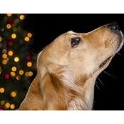 Jennifer Brinkman's photo