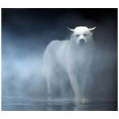 Elizabeth Burke's photo