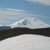 April Liu's photo