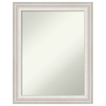 Trio White Wash Silver Non-Beveled Wall Mirror - 22.5 x 28.5 in.