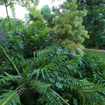 Tropical Landscape Design