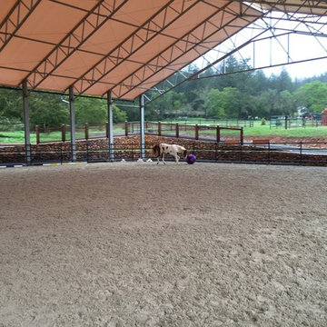 Terra De Belos Cavalos