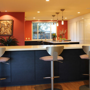 Cupertino kitchen in carbon oak and gloss white cabinets