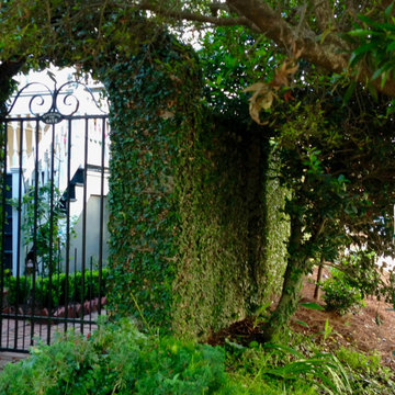 Charleston Courtyard Garden