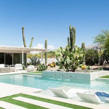 Pool, Palms and Prickly Pear
