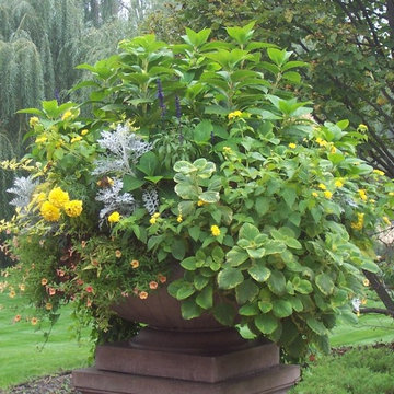 Seasonal Display