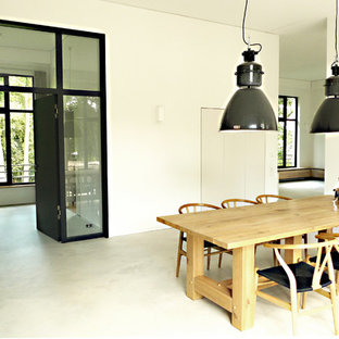 ベルリンの広いコンテンポラリースタイルのLDKの画像 (白い壁、コンクリートの床、両方向型暖炉、漆喰の暖炉まわり)