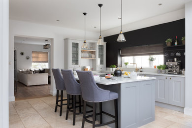 Light Grey Contemporary Kitchen