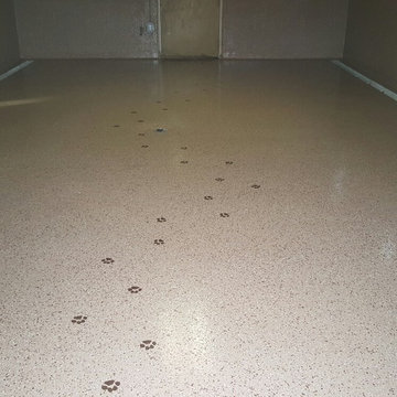 Epoxy floor with flake in animal shelter - After