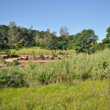 Country Residence