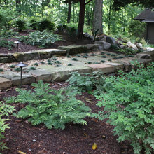 Exterior/Landscaping