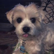 Jill Hovanec Sadler's photo