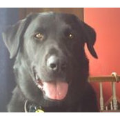 Nancy Kerr's photo