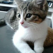 Foto von Mylene Thevenet