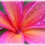 Brenda Remiticado's photo