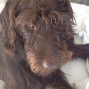 Kelly Flanagan's photo