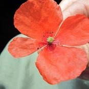 Eva McGraw's photo