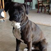 Dana Pendleton's photo