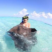 Serena Gleklen's photo