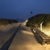 Till Brink's photo