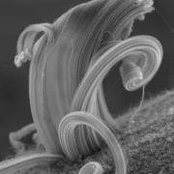 Chris Jacobs's photo