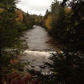 Bill Garrison's photo
