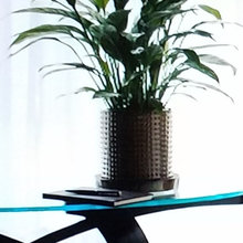Flower Arrangements  & Deco ideas