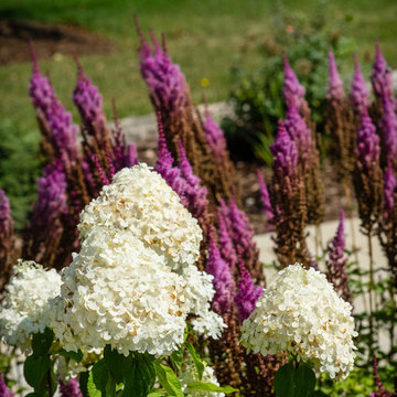 Contemporary Front Yard Landscape - Brookfield