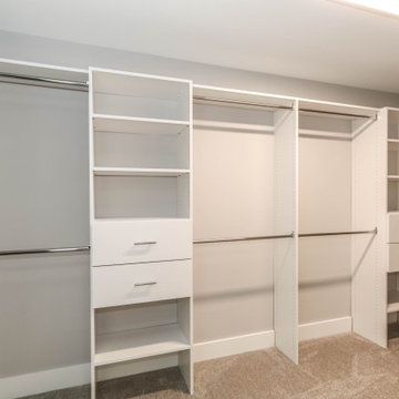 Modified Laguna I | Reserves of Dunmoor Estates Plainfield, IL