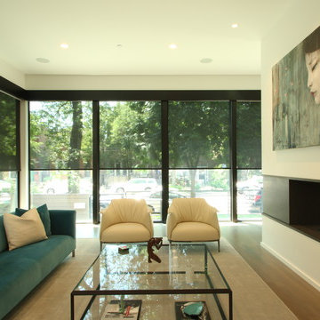 Chicago Bucktown Modern Masterpiece