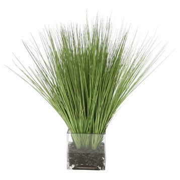 Waterlook® Green Grass in Square Glass Cube