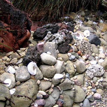 Rock Garden