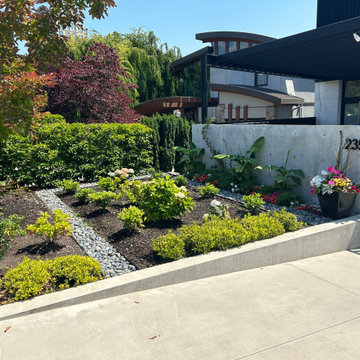 Bellevue Modern