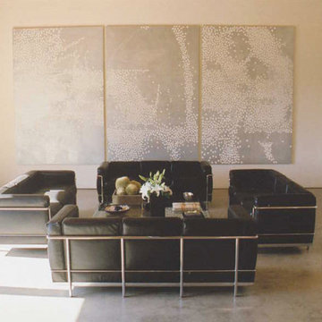 Napa Valley Art Collector's Home