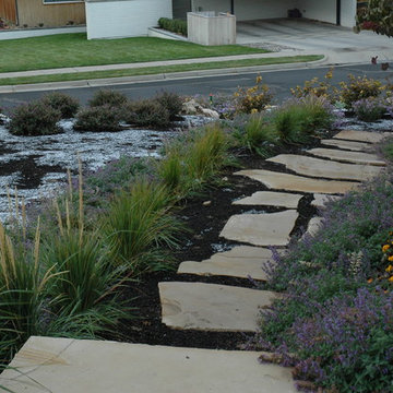 Above the Capitol Traditional Style Water Wise Yard