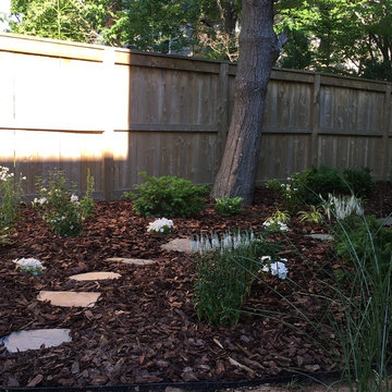 South End "Moon Garden"