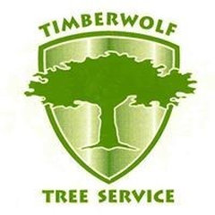TIMBERWOLF TREE SERVICE
