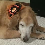Wendy Reeder Boggs's photo