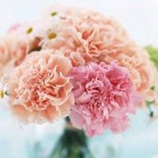 Itgel Selenge's photo