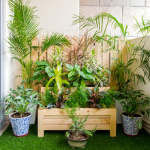 How to Grow a Blooming Balcony Garden