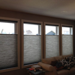 Hunter Douglas Honeycomb Cellular Shades - Products