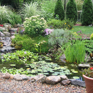 Masicki Backyard Pond - Westport