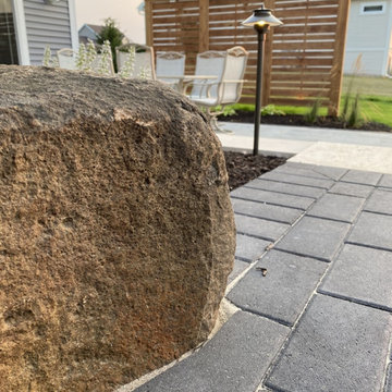 Fossils Refined