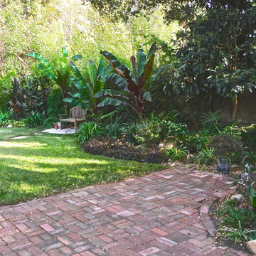 Lush in the Shade