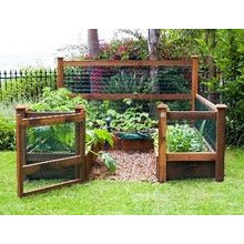 Raised garden with gate