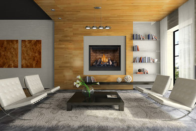 Napoleon Home Comfort Barrie On Ca L4m 0g8 Houzz