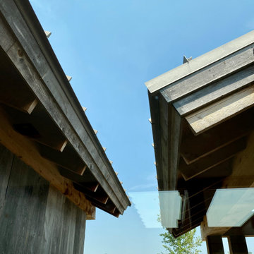 Montana Modern