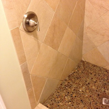 Daly Bathroom Remodel / Mold Removal
